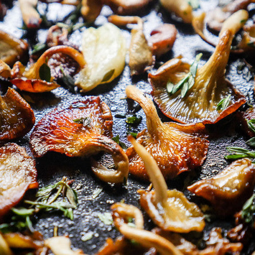 Pan Fried Oyster Mushrooms
