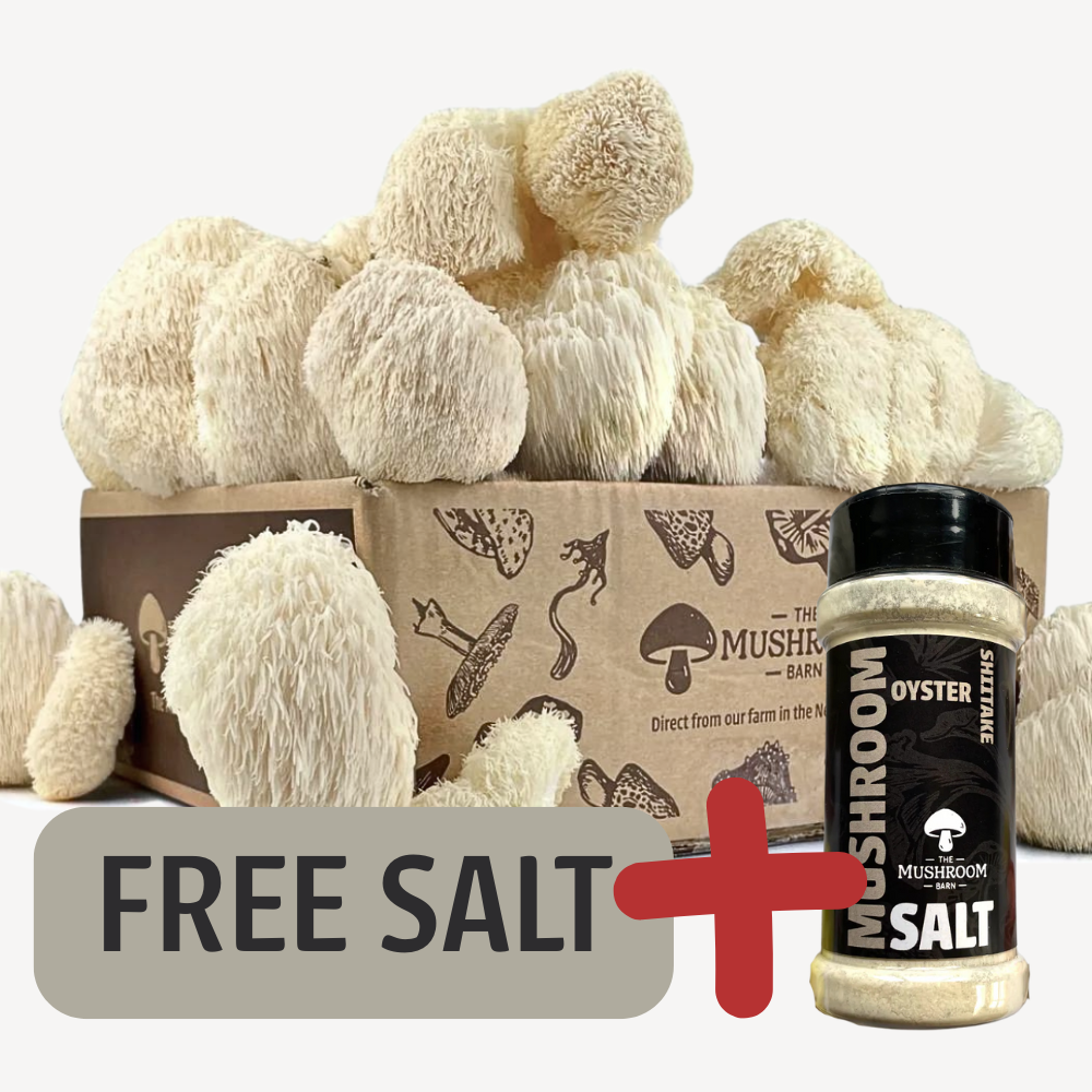 Lions Mane Subscription