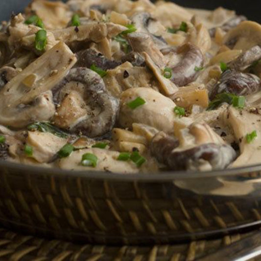 Oyster Mushroom Stroganoff