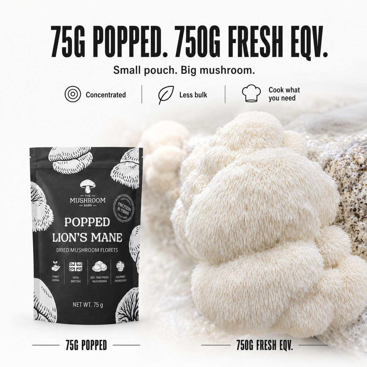 Popped Lion's Mane