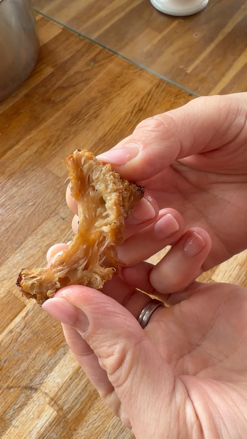 Pulling apart a cooked Popped Lion's Mane floret to show the fibres