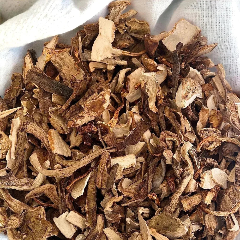Lion's Mane + FREE Mixed Dried