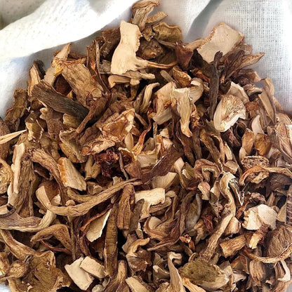 Lion's Mane + FREE Mixed Dried