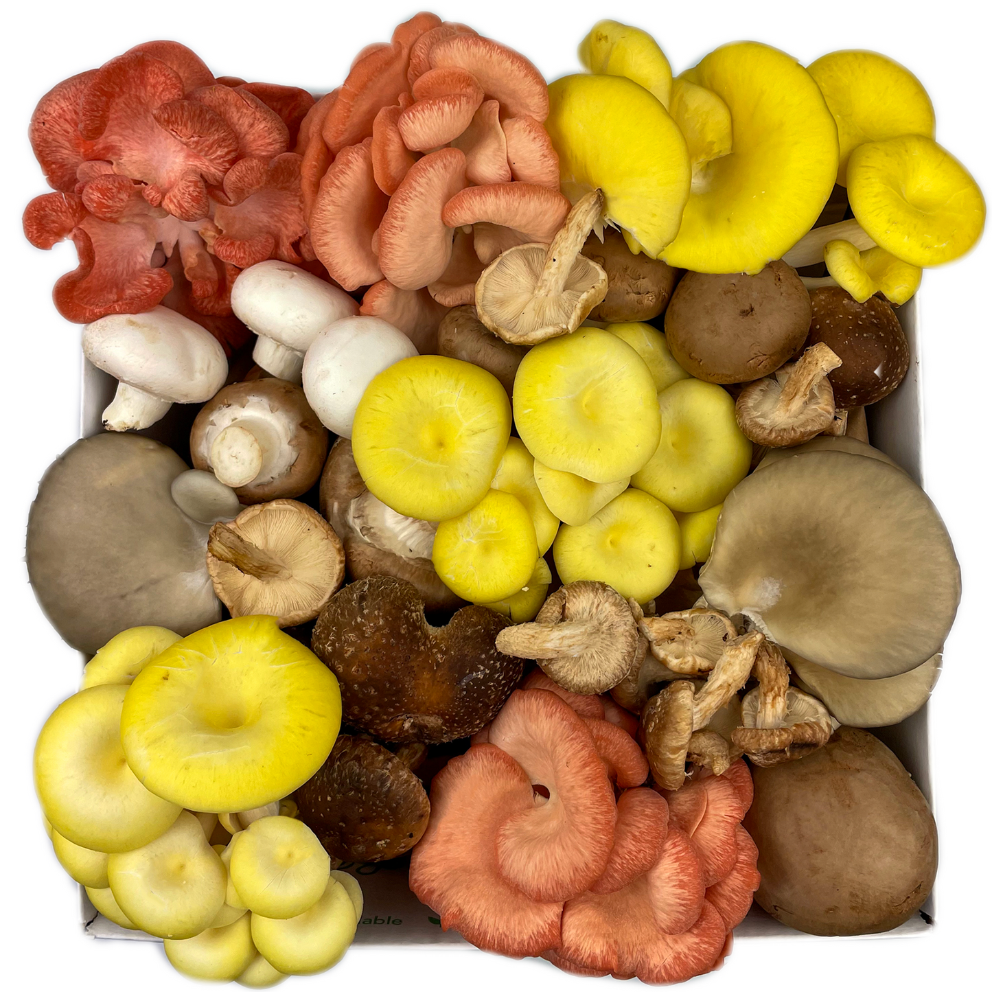 The Classic Mushroom Mix